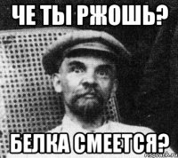 че ты ржошь? белка смеется?