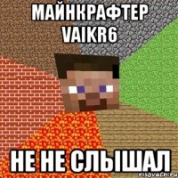 майнкрафтер vaikr6 не не слышал