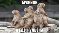 мужики а где жульен?