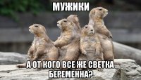 мужики а от кого все же светка беременна?