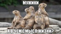 мужики а в чем смысл жизни?