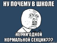 ну почему в школе нет ни одной нормальной секции???