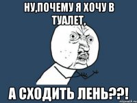 ну,почему я хочу в туалет, а сходить лень??!