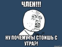 член!!! ну почему ты стоишь с утра?!