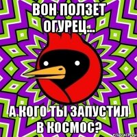 вон ползет огурец... а кого ты запустил в космос?