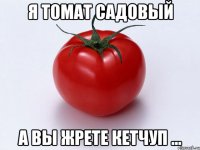 я томат садовый а вы жрете кетчуп ...