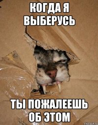 когда я выберусь ты пожалеешь об этом