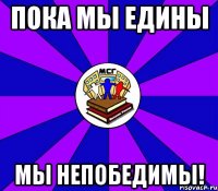 пока мы едины мы непобедимы!