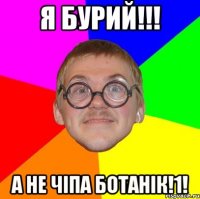 я бурий!!! а не чіпа ботанік!1!