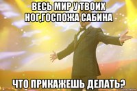 весь мир у твоих ног,госпожа сабина что прикажешь делать?