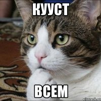 кууст всем