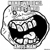 mama- wai ionel stinje compu amus mam