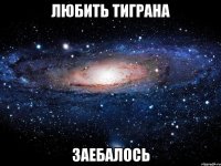 любить тиграна заебалось