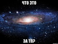 что это за тп?