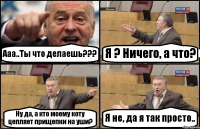 Ааа..Ты что делаешь??? Я ? Ничего, а что? Ну да, а кто моему коту цепляет прищепки на уши? Я не, да я так просто..