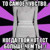 то самое чувство, когда твой кот ест больше, чем ты :/