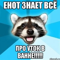 енот знает всё про уток в ванне!!!