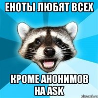 еноты любят всех кроме анонимов на ask