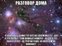 разговор дома - я убираюсь дома! тут всё на своём месте! - да? а эта пыль? - там важные номера! - ну да, а тот паук в углу? - не трогай гошу, он ни в чём не виноват!