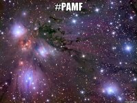 #pamf 