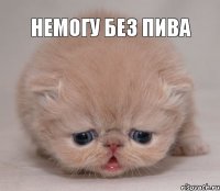 немогу без пива