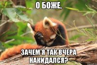 о боже, зачем я так вчера накидался?