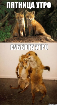 пятница утро суббота утро