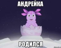 андрейка родился