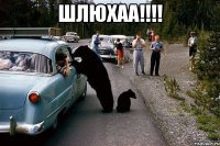 шлюхаа!!! 