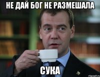 не дай бог не размешала сука