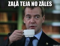 zaļā teja no zāles 