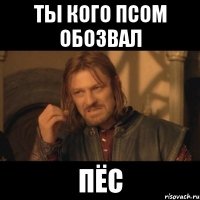 ты кого псом обозвал пёс