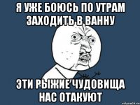 я уже боюсь по утрам заходить в ванну эти рыжие чудовища нас отакуют