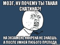 мозг, ну почему ты такая скатина?! на экзамене нихрена не знаешь, а после умней любого препода