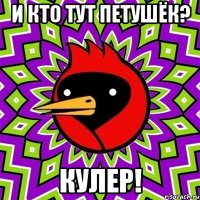 и кто тут петушёк? кулер!