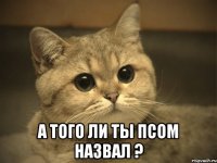  а того ли ты псом назвал ?