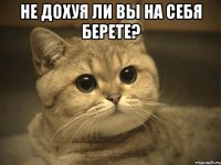 не дохуя ли вы на себя берете? 