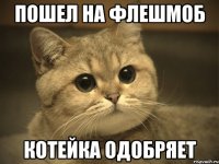 пошел на флешмоб котейка одобряет