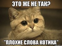 это же не так? "плохие слова котика"