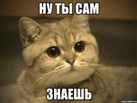 ну ты сам знаешь