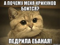 а почему меня крикунов боится? педрила ебаная!