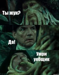 Ты жук? Да! Умри уебщик