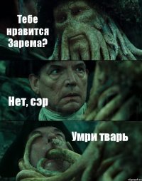 Тебе нравится Зарема? Нет, сэр Умри тварь