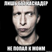 лишь бы каскадер не попал к моим