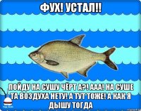 фух! устал!! пойду на сушу чёрт а?! ааа! на суше та воздуха нету! а тут тоже! а как я дышу тогда