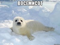 восемисот 