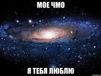 мое чмо я тебя люблю