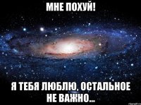 мне похуй! я тебя люблю, остальное не важно...