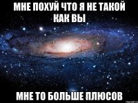 мне похуй что я не такой как вы мне то больше плюсов