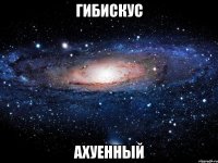 гибискус ахуенный